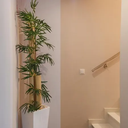 Boutique Barra Alta (adults Only) 2*