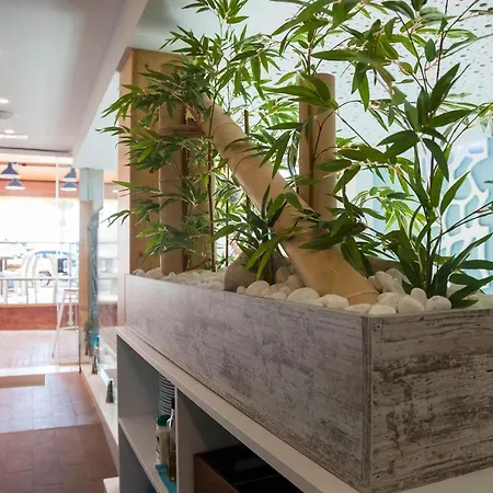 Boutique Barra Alta (adults Only) Пеньискола